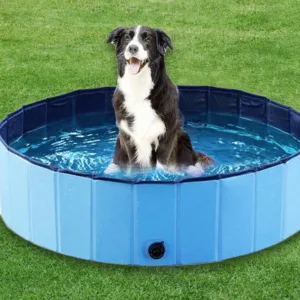 Dog Swimming Pool & Pool Cover Portable Plastic Pool Grooming Tub Bathing Scratch Resistance Pet Pools Bathtub for Large Dogs