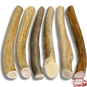 Natural Deer Antler Dog Chews 6 Pack Small Breed Chew Bones Long Lasting Healthy Chewing Toys Aggressive Chewers