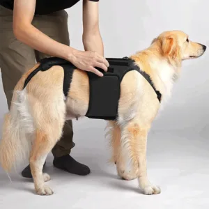Back Pain Relief Injury Support Dog Vest Tactical Dog Clothes Dog Back Support Multifunctional IVDD Vest Dog Back Support Vest