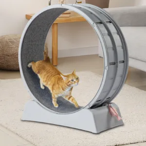 Interactive Cat Exercise Wheel 31 Inch Treadmill with Carpeted Runway for Indoor Cats Weight Loss108